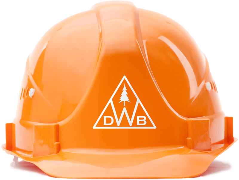 Hardhat with company logo