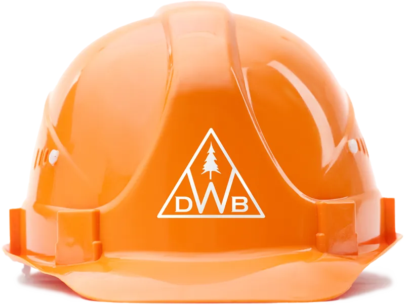 Hardhat with company logo