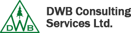 DWB Consulting Services Ltd.