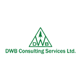 DWB Consulting Services Ltd. - Company Name