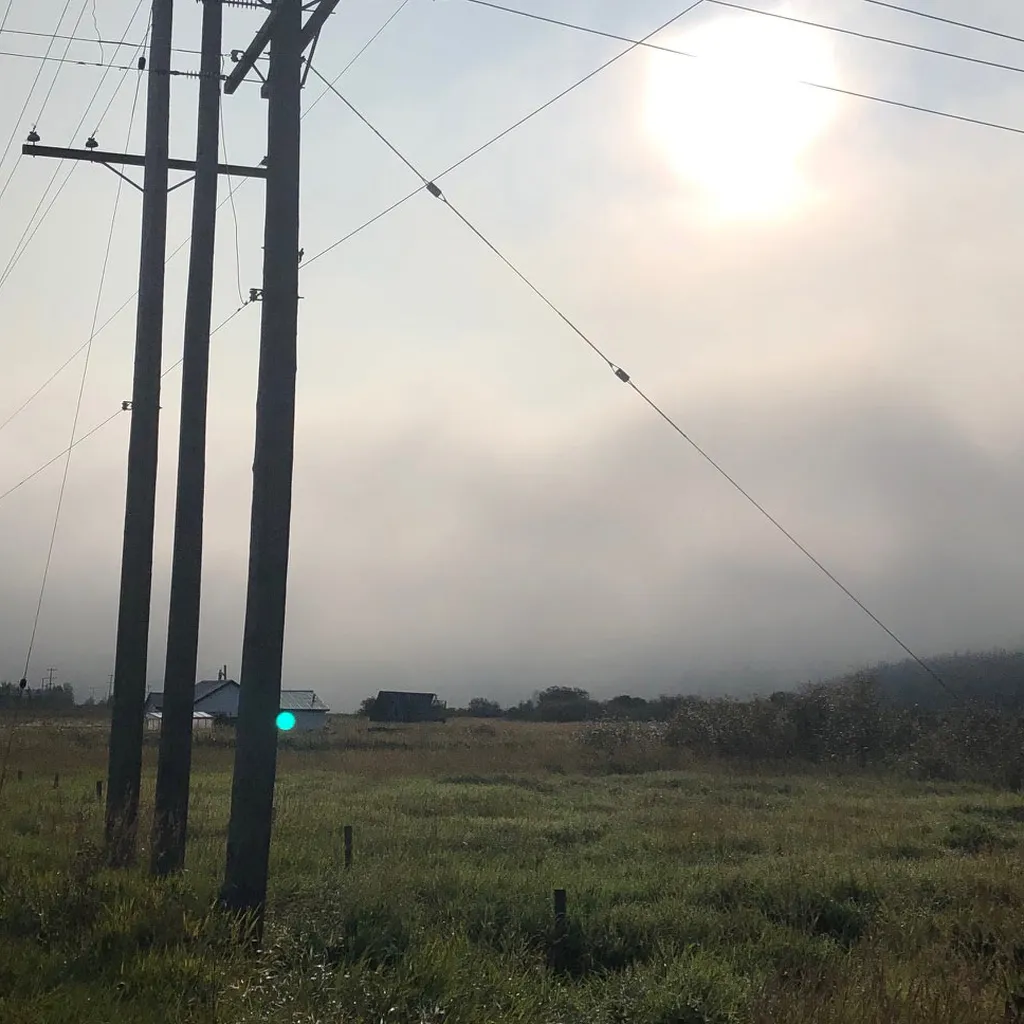 BC Hydro Transmission and Distribution System Environmental Assessments