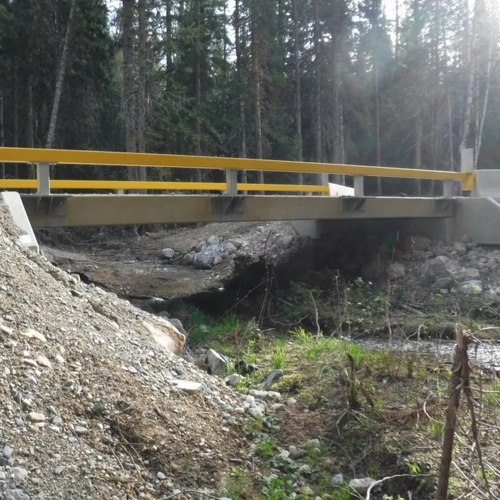 Fraser Flats Road and Crossing Design
